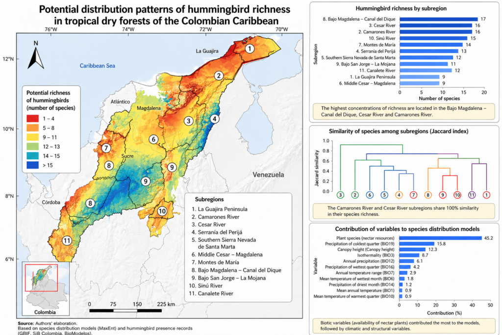 Distribution patterns of hummingbird richness in tropical dry forests in the Colombian Caribbean