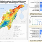 Distribution patterns of hummingbird richness in tropical dry forests in the Colombian Caribbean