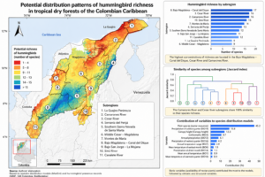 Distribution patterns of hummingbird richness in tropical dry forests in the Colombian Caribbean